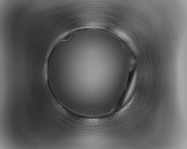X0000089671180200707051543