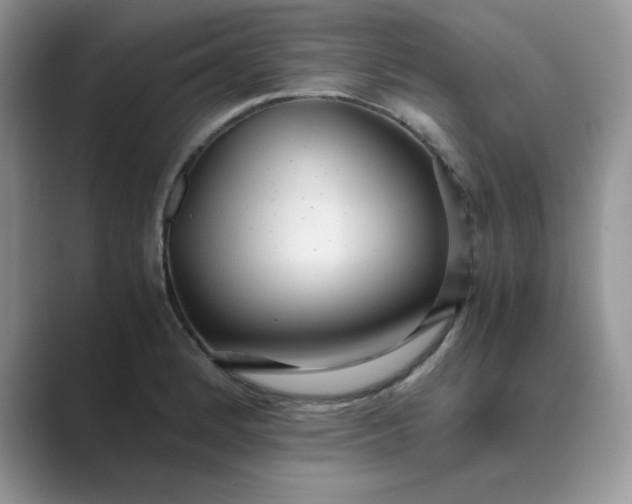 X0000089671184200707051543