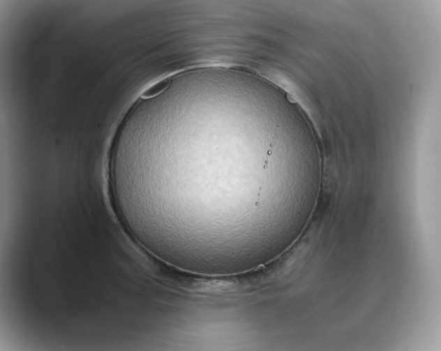X0000089671187200707051543