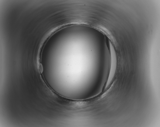 X0000089671188200707051543