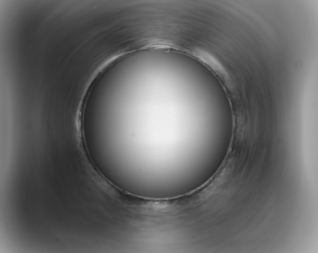 X0000089671190200707051543
