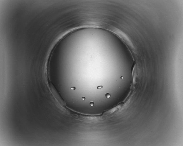 X0000089671192200707051542