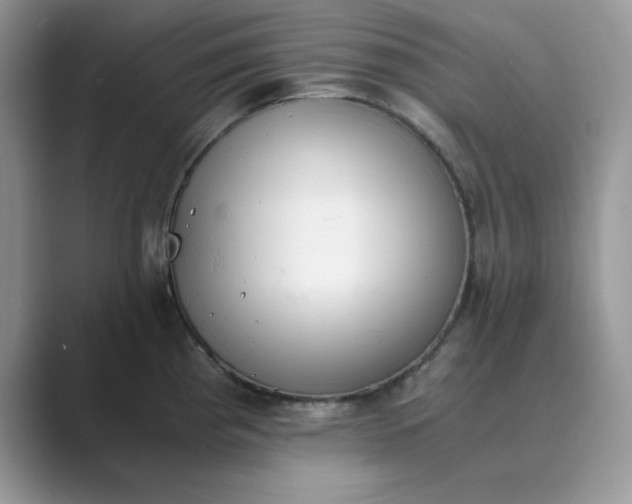 X0000089671193200707051542