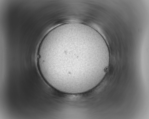 X0000089671195200707051542