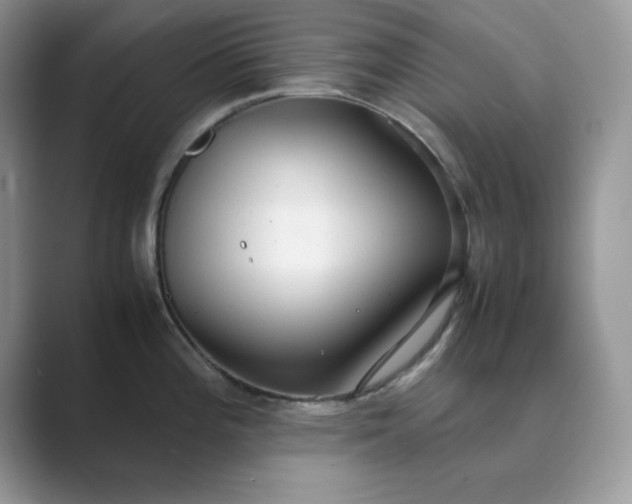 X0000089671196200707051542