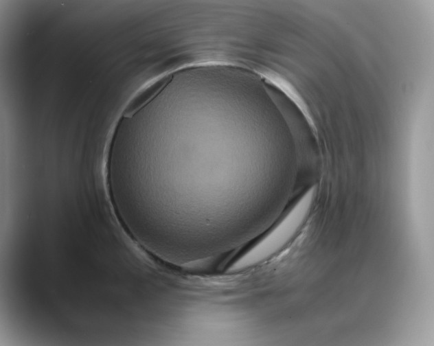 X0000089671197200707051542