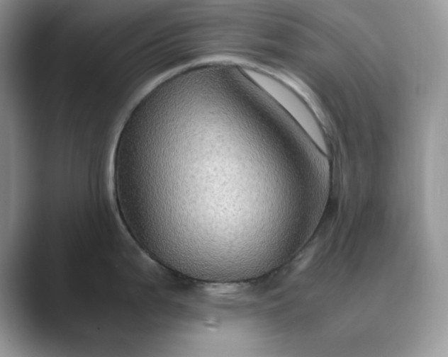 X0000089671199200707051542