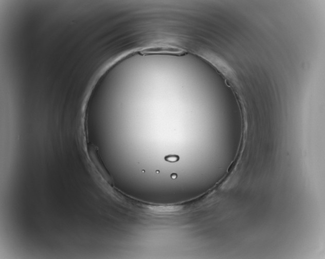 X0000089671200200707051542