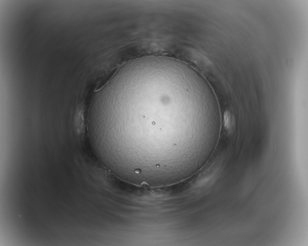 X0000089671203200707051542