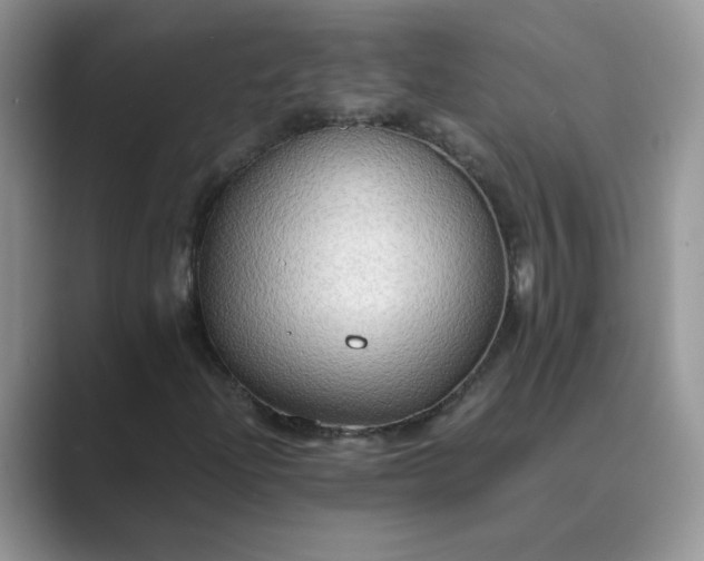 X0000089671204200707051542