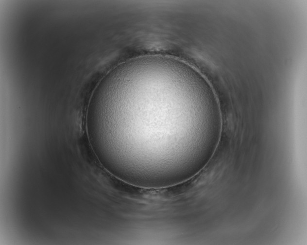 X0000089671205200707051542
