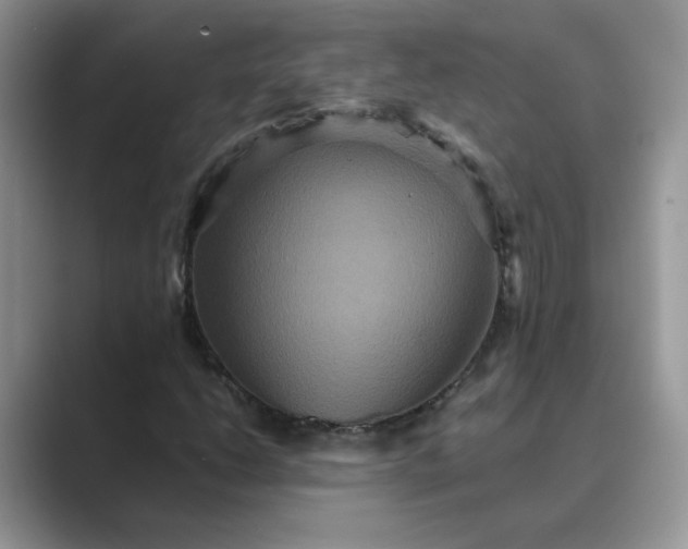 X0000089671206200707051542
