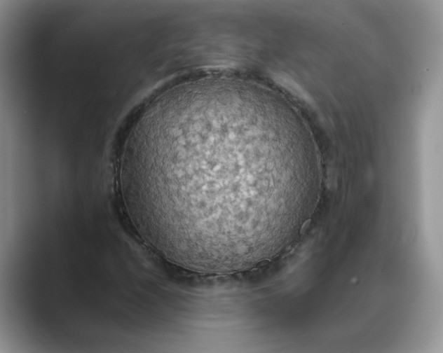 X0000089671208200707051542