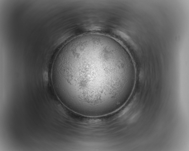 X0000089671209200707051542