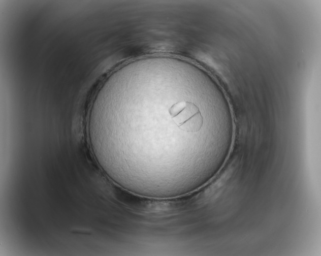 X0000089671211200707051542