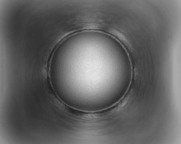 X0000089671212200707051542