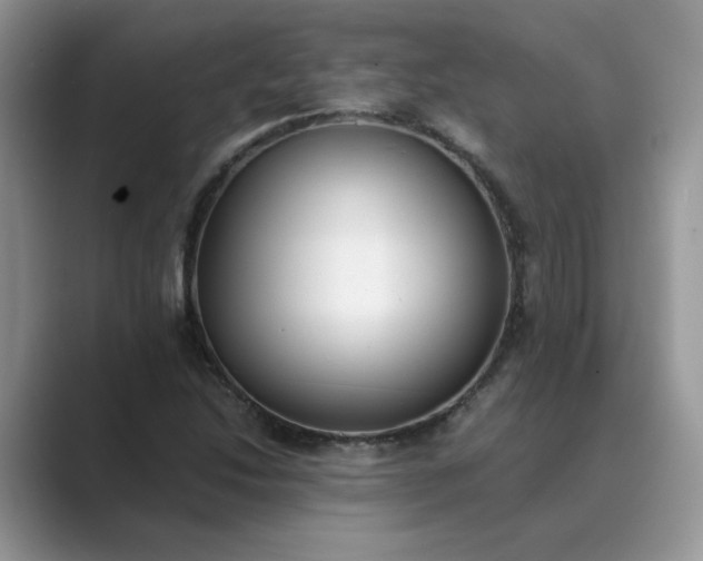 X0000089671214200707051542