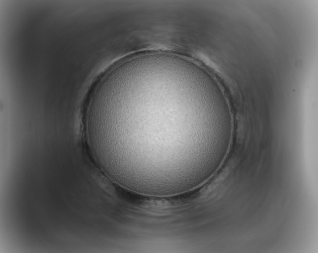 X0000089671215200707051542