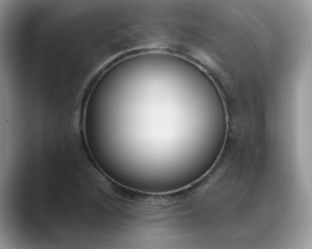 X0000089671216200707051542