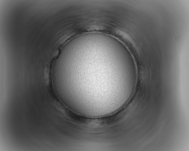 X0000089671217200707051542