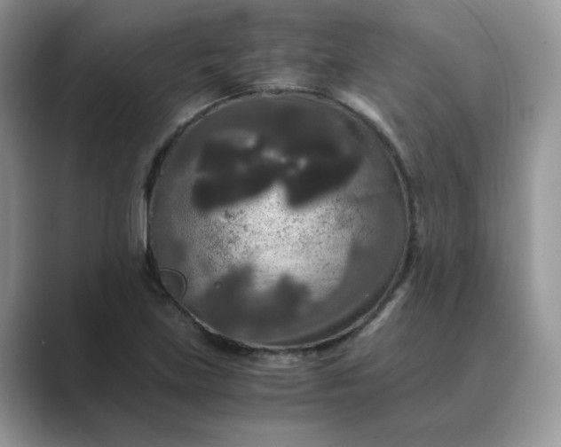 X0000089671219200707051542