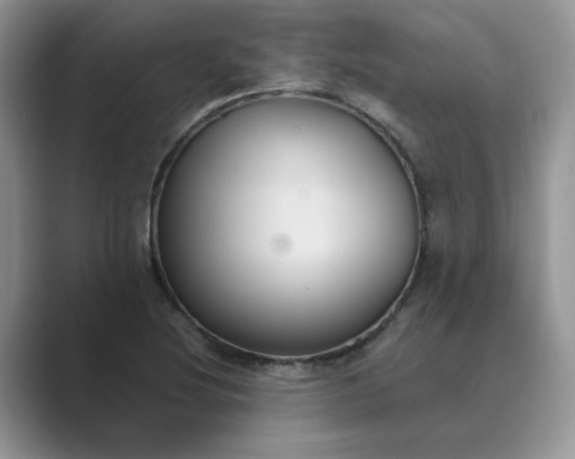 X0000089671220200707051542