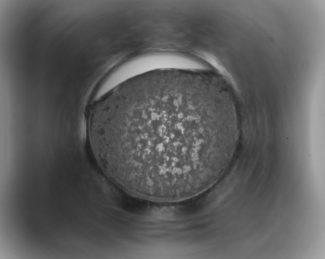 X0000089671221200707051542
