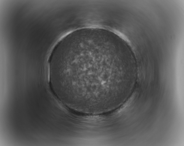 X0000089671223200707051542