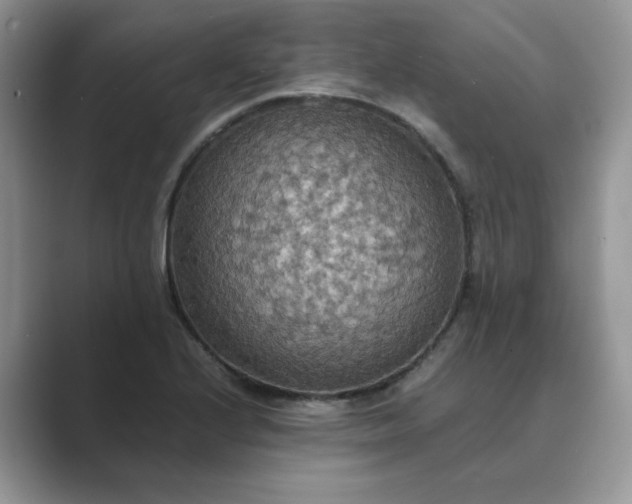 X0000089671224200707051542
