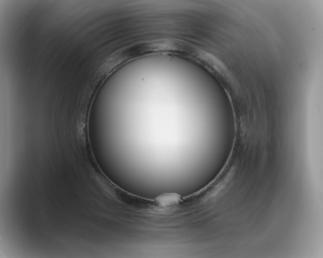 X0000089671225200707051542