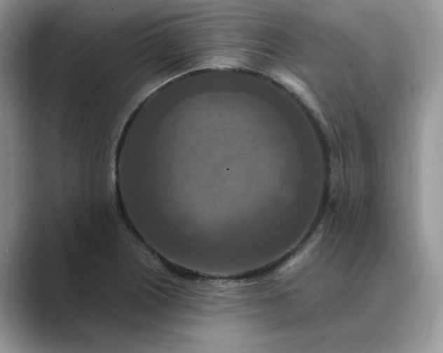 X0000089671226200707051542
