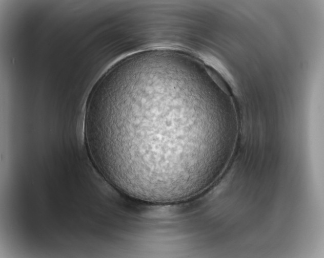 X0000089671228200707051542