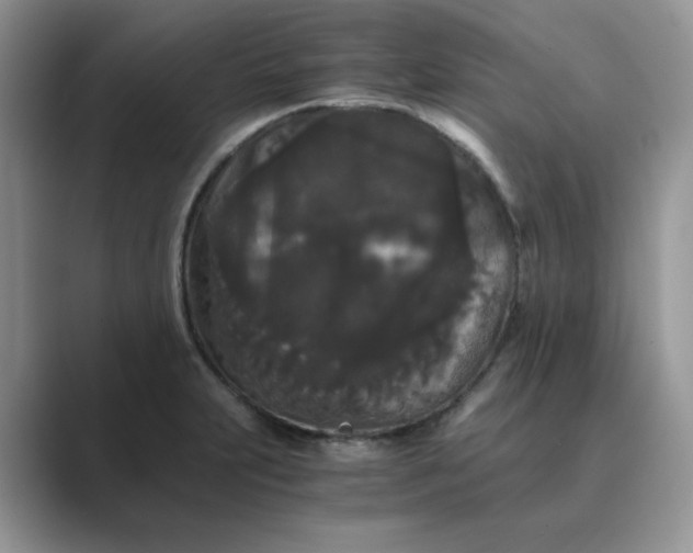 X0000089671231200707051542