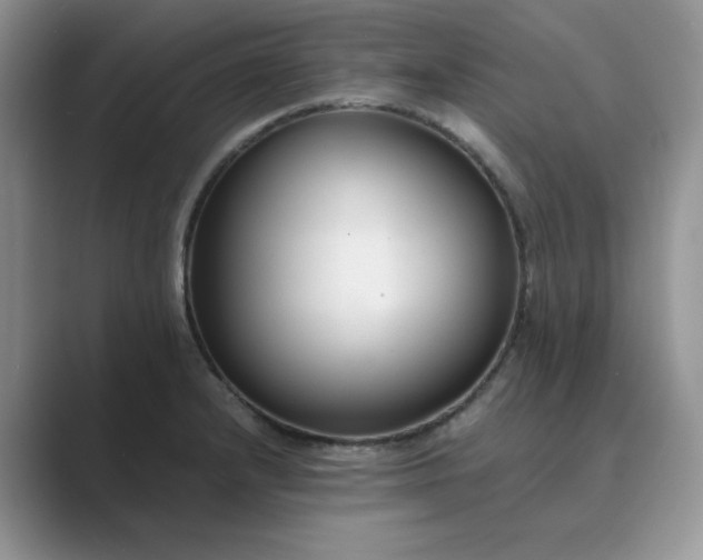 X0000089671232200707051542