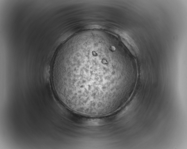 X0000089671233200707051542