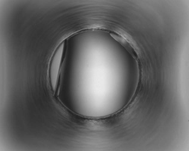 X0000089671234200707051542