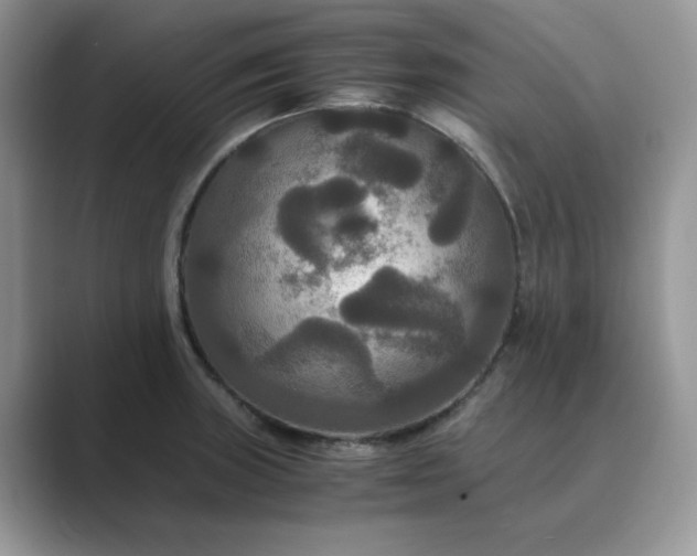 X0000089671235200707051542