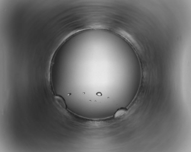 X0000089671236200707051542