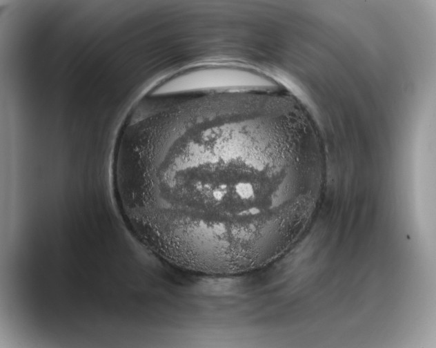 X0000089671237200707051542