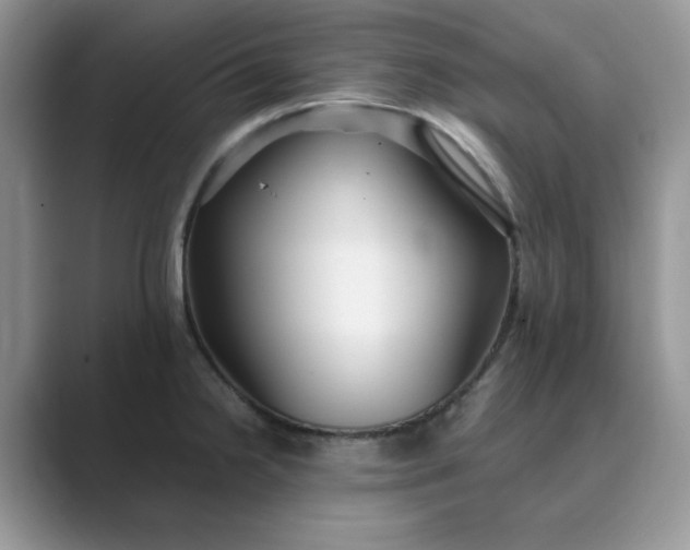 X0000089671238200707051542