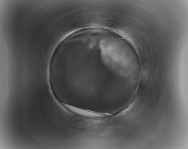X0000089671239200707051542