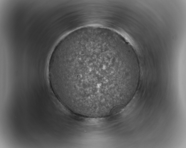 X0000089671240200707051542