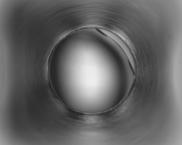 X0000089671242200707051542