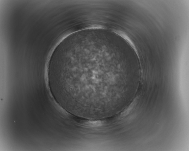 X0000089671243200707051542