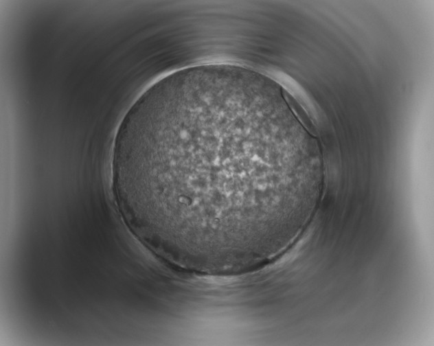 X0000089671244200707051542