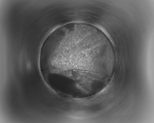 X0000089671245200707051542