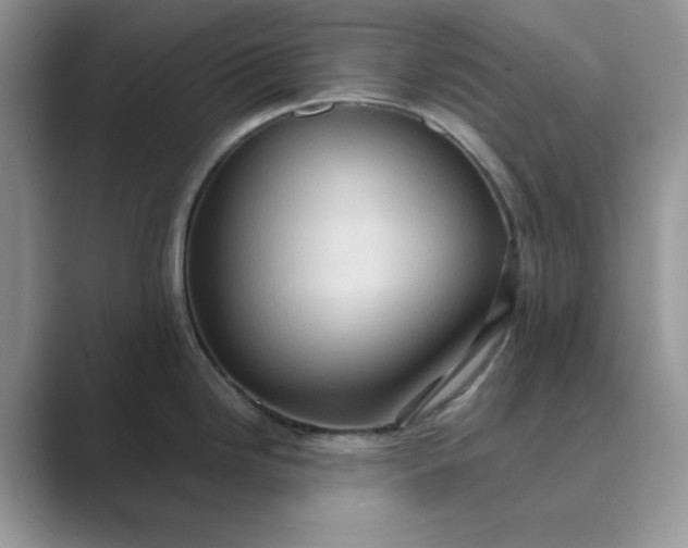 X0000089671246200707051542