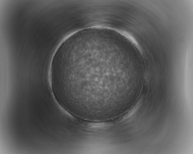 X0000089671247200707051542