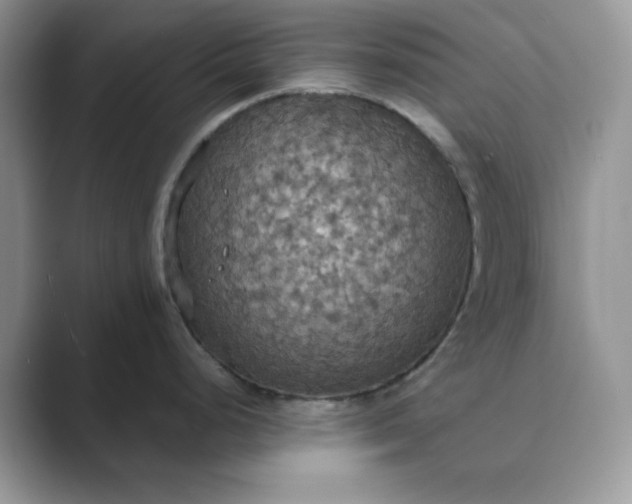 X0000089671248200707051542