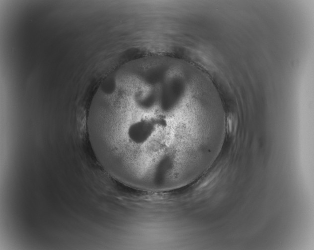 X0000089671251200707051542